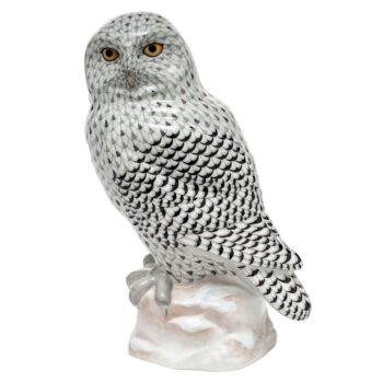 Snowy Owl