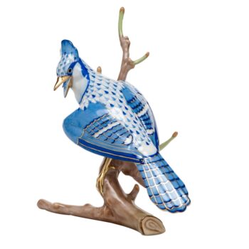 Canadian Blue Jay